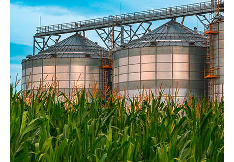 Landwirtschaftliche Silos (Foto: Jantsarik/Shutterstock.com)